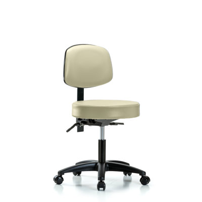 Amundson Backed Adjustable Height Ergonomic Lab Stool