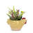 Ulysse Ceramic Statue Planter