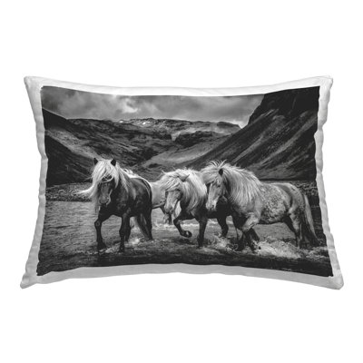 Coussin décoratif imprimé chevaux, "Splashing in River" par PHBurchett