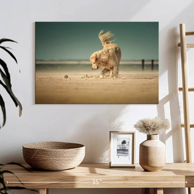 Crowle Playful Golden Retriever