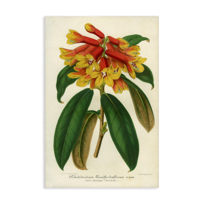 Toile rhododendron orange et jaune, design par Print Collection