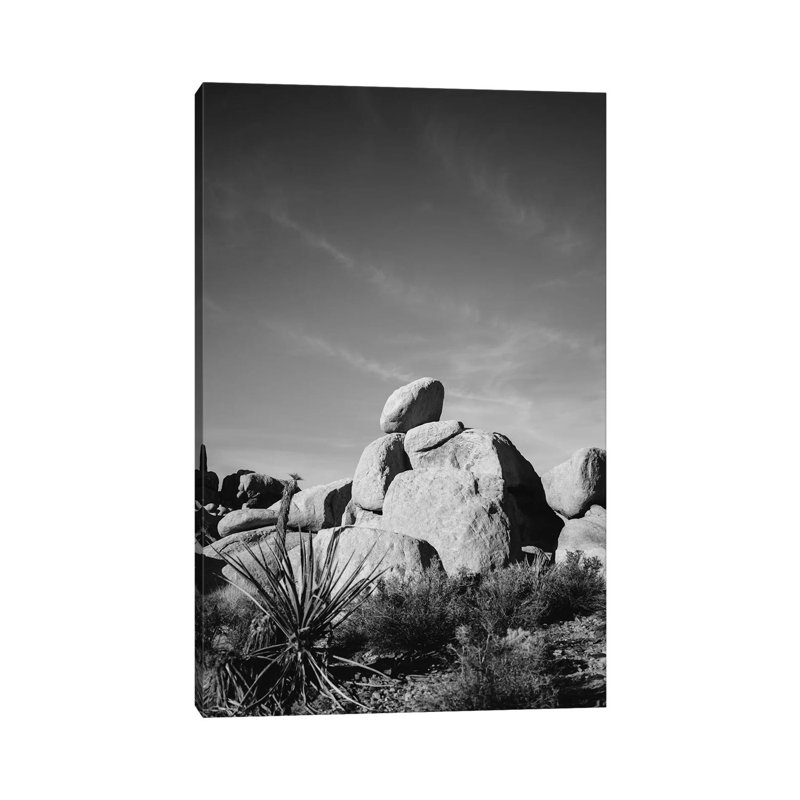 Joshua Tree National Park XIV by Bethany Young - Print on Canvas, 152.4cm H x 101.6cm W x 3.81cm D, Wrapped Canvas