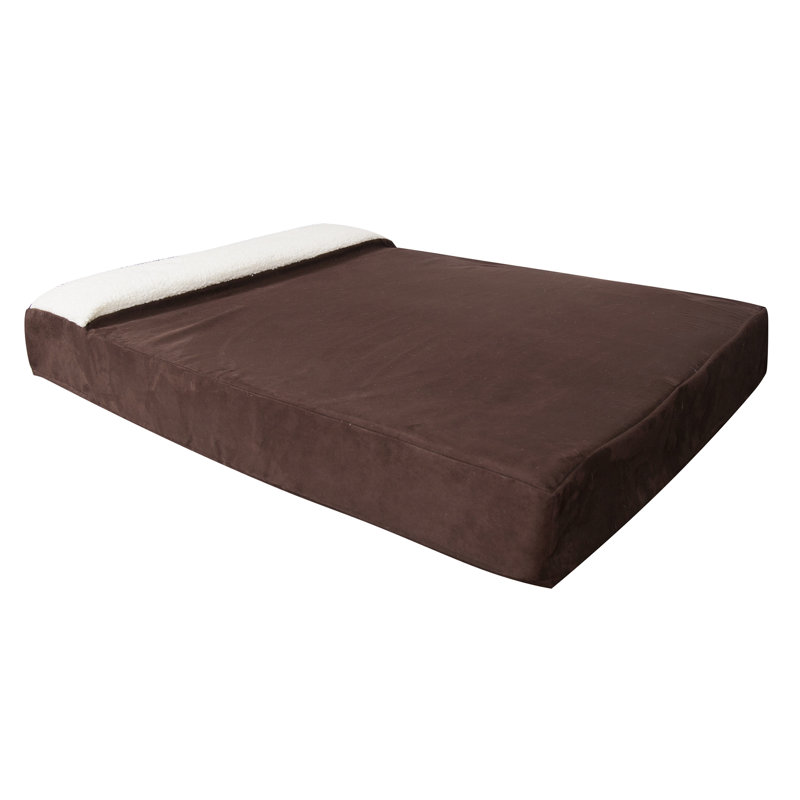 Tapis de salon pour animaux, Grand (l 50 po x P 34 po x H 6,75 po), Chocolat
