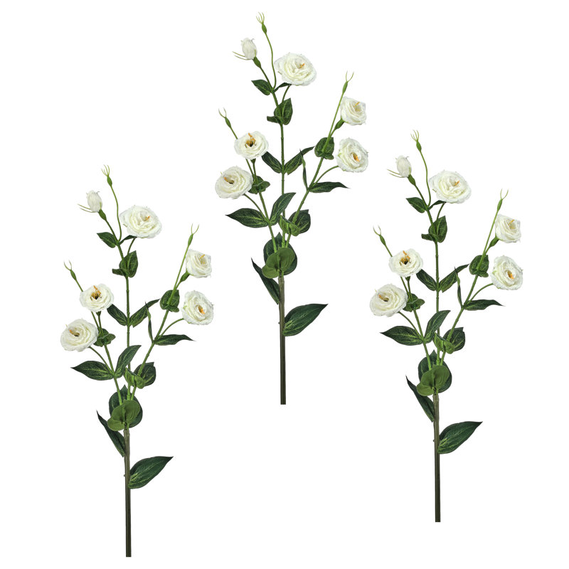 36 po Lisianthus 36 po, Blanc