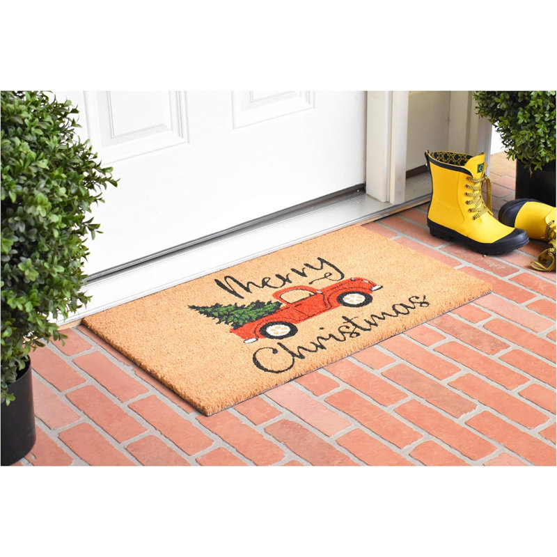 AZ106331729 Christmas Fun Doormat, 17" X 29", Multicolor