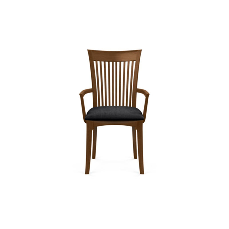 Sarah 19.25'' H Upholstered Armchair, Saddle Cherry, Onyx Microsuede