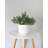 UV Resistant Moss Bundle 11"