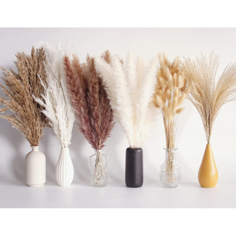 Pampa Arrangement