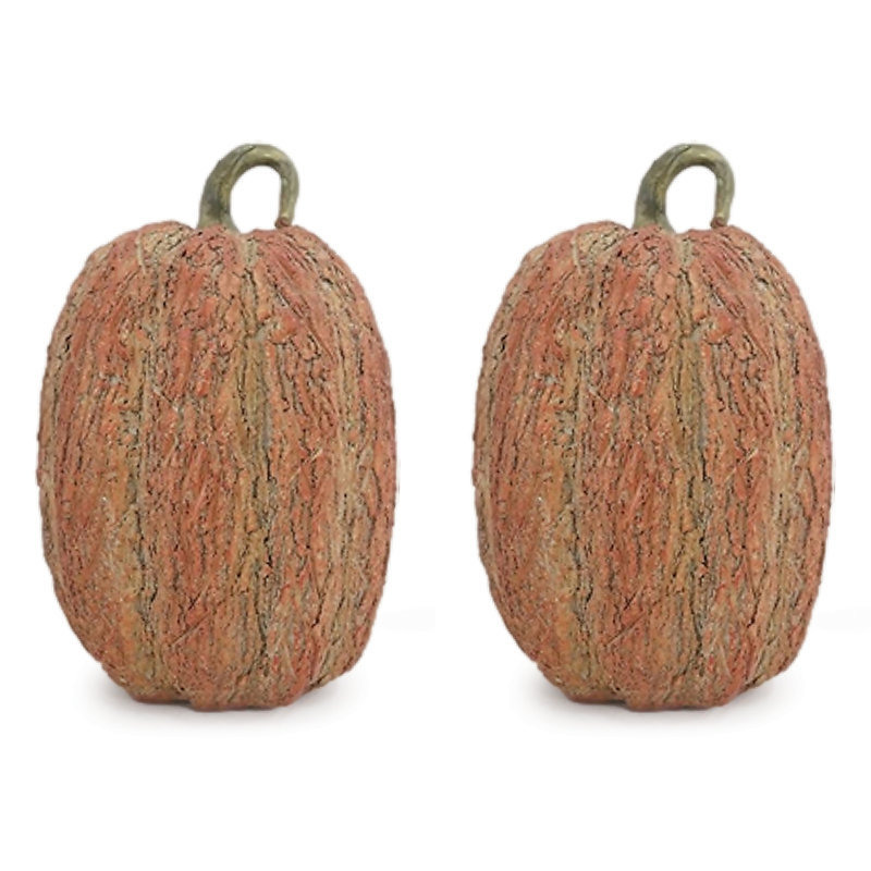 Ensemble de 2 citrouilles texturées