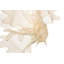 Abstract Figurines & Sculptures-103100089-103100088