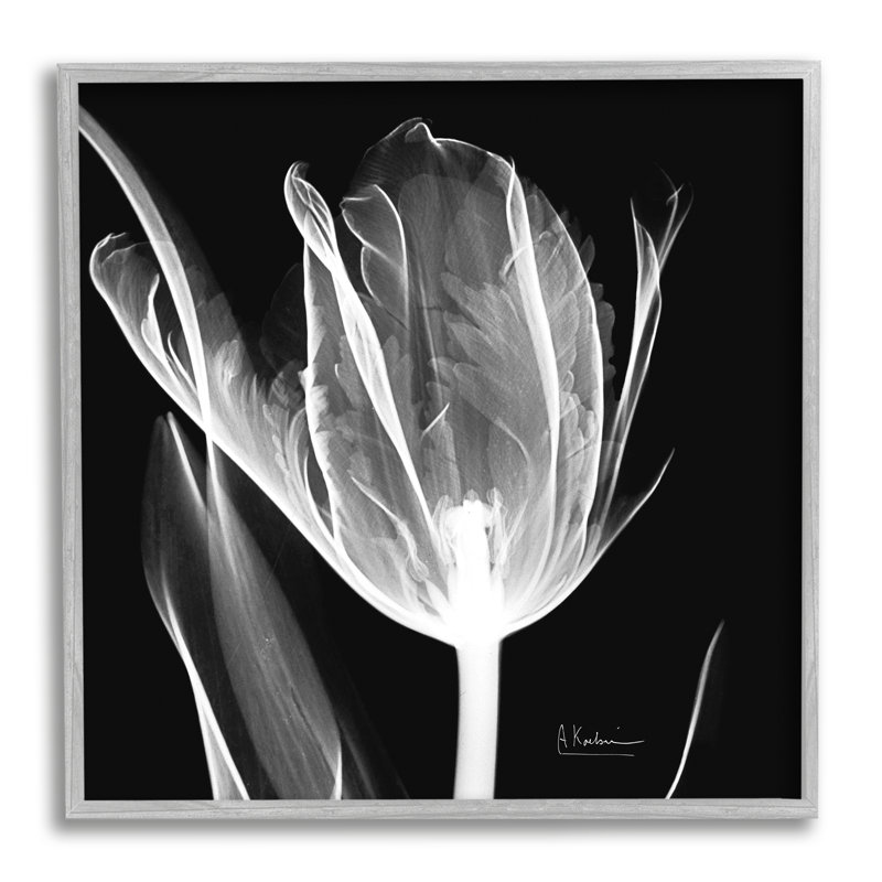 Fleur radiographique sur fond noir, photographie sur toile, H 24 po x l 24 po x P 1,5 po