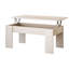 Helenmae Height-Adjustable Coffee Table with Storage-337799583