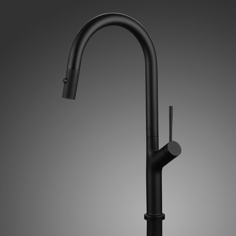 Maestro Bath Palm Pull Out Kitchen Faucet, Black