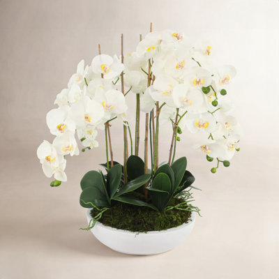 Orchid Arrangement in Round Fiberstone Pot