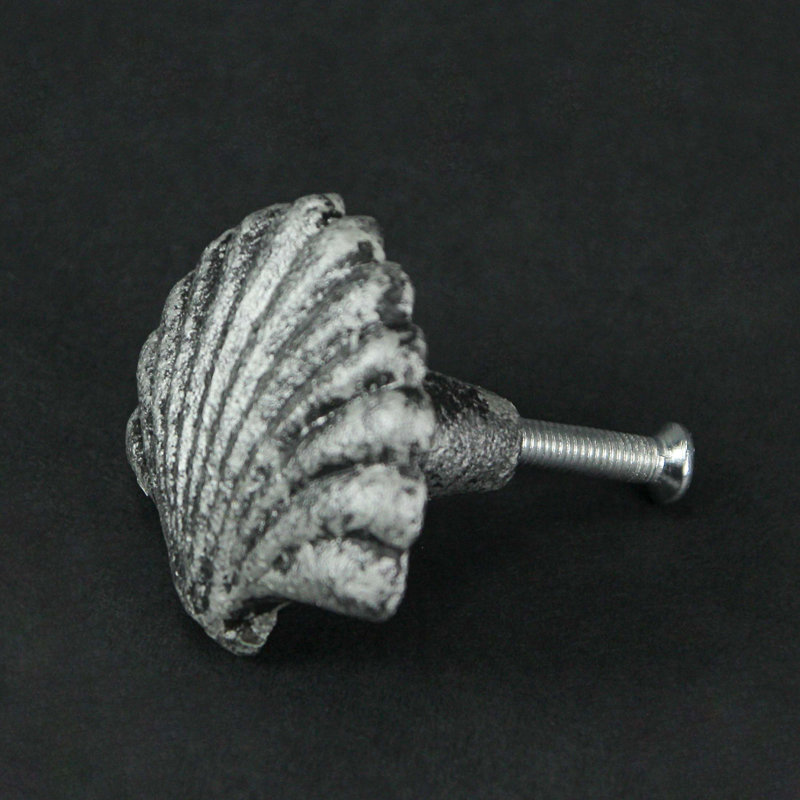 Scallop Novelty Pull Multipack