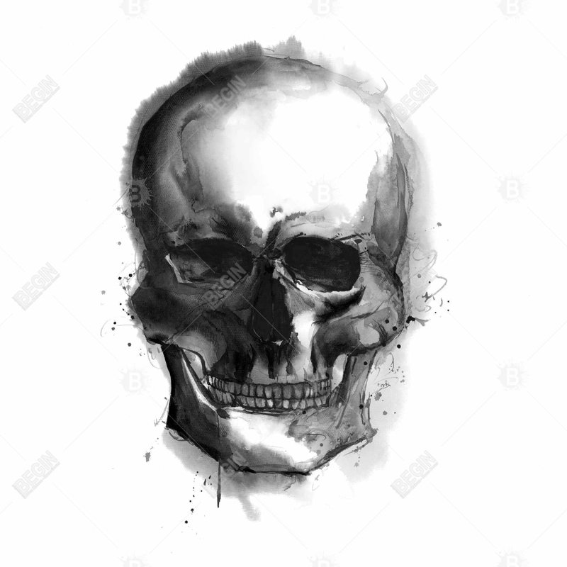 " Watercolor Dark Skull "