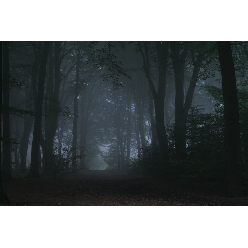 Dark And Foggy Forest by AmpH - No Frame Art Prints on Canvas, 81cm H x 122cm W