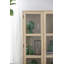 Grande vitrine avec portes en verre