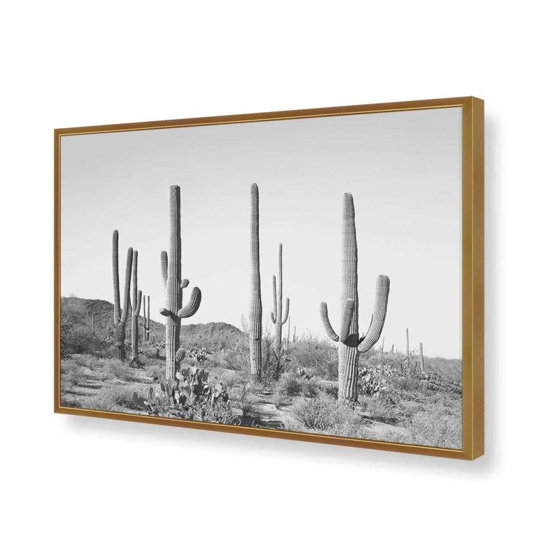 «Grey Cactus Land» par Garima Dhawan, reproduction d'art, H 12 po x l 16 po, Doré