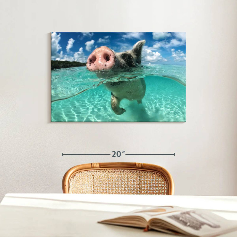 Brampt Swimming Pig, 16" H x 24" W