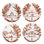 Country Estate Harvest Party Plates Assorted