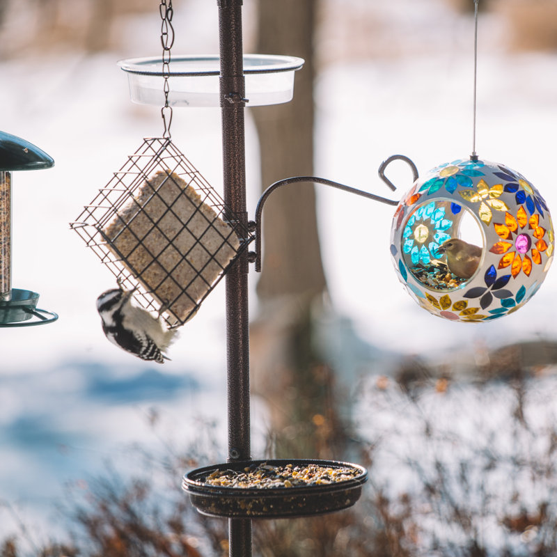 Station d'alimentation d'oiseaux Premium 