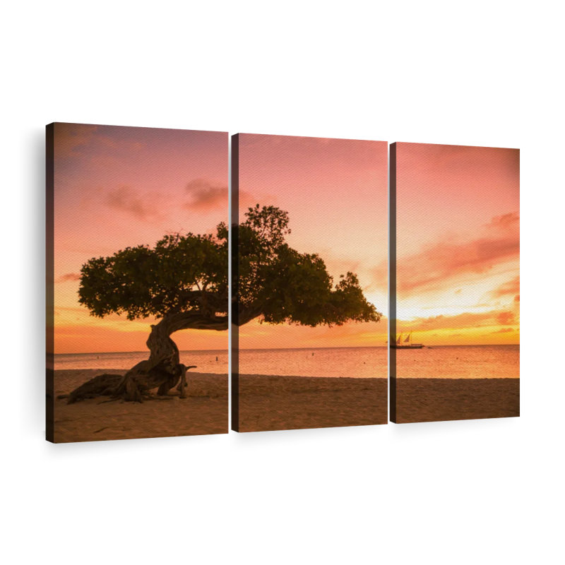 Nature «Divi Divi Tree Aruba Canvas Print» sur, H 20 po x l 33 po x P 1,25 po
