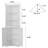 Anest  Corner Storage Bookcase-459682197