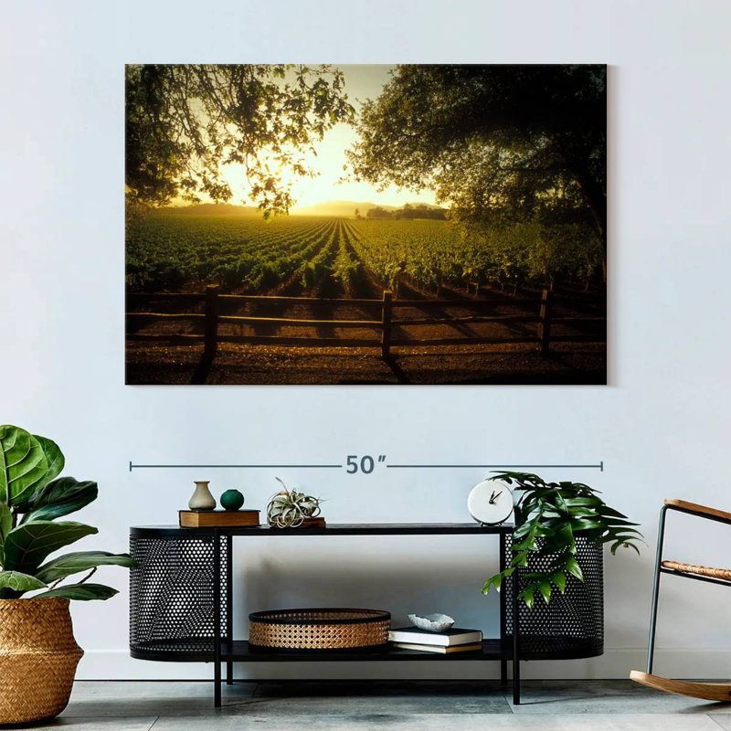 Alvord Oakville Vineyard, H 34 po x l 51 po