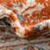 Kyte Floral Power Loom Area Rug in Rust/Red/Cream