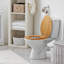 Dalton Elongated Toilet Seat In Honey Oak-99206367