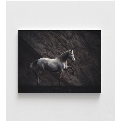 Solitaire By Heike Willers, Black And White Horse Art, Framed Horse Photography Print, Equestrian Wall Decor, Cowboy Wall Art