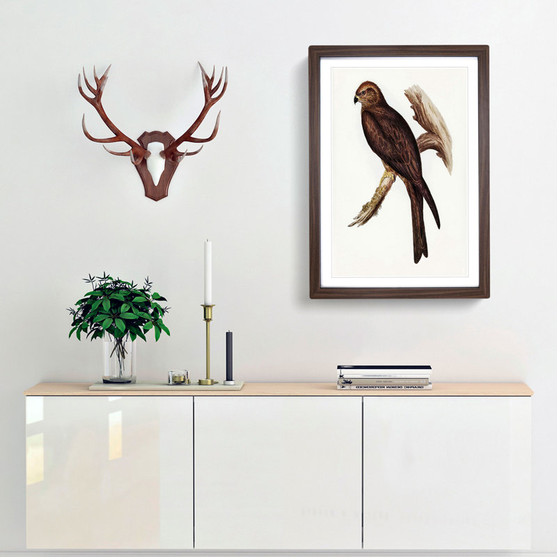Allied Kite by Elizabeth Gould - Single Picture Frame Painting, Walnut Framed, 45cm H x 33cm W x 2cm D