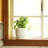 8 Inch Venice Planter