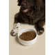 Silicone Pet Bowl/Dish