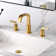 Widespread Bathroom Faucet with Drain Assembly