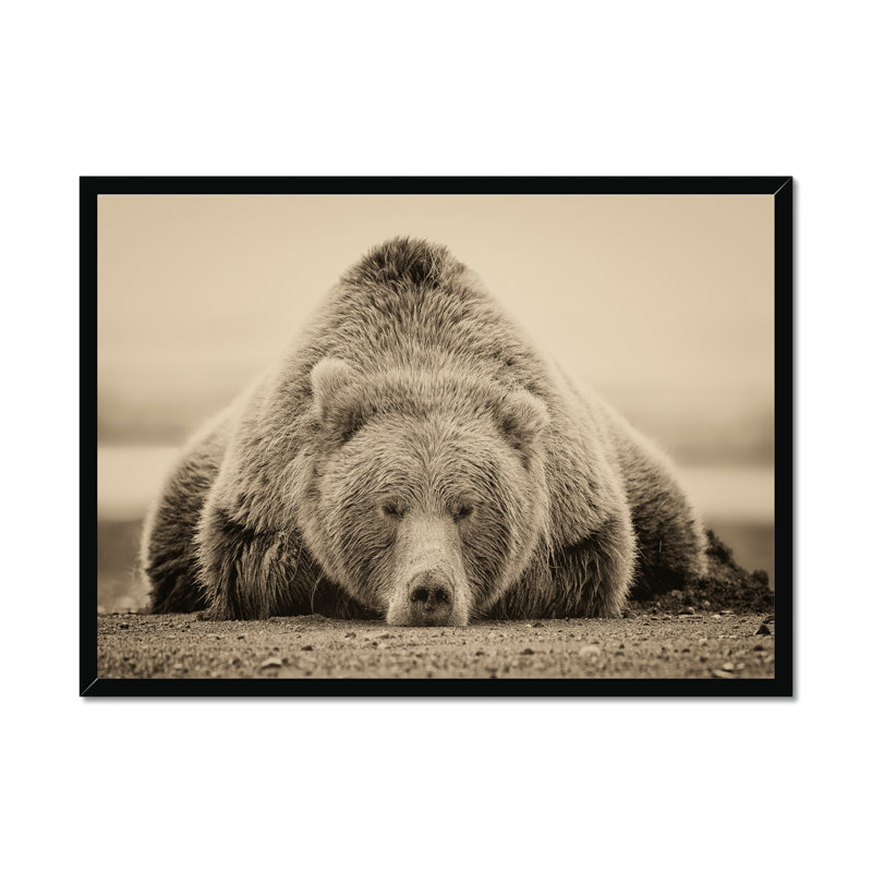 Deep Sleep by PHBurchett - Print, Black Framed Paper Print, 55cm H x 80cm W