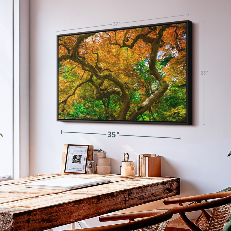 Mossy Maple Tree Canvas Print, 25" H x 37" W