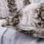 Housses de coussin en fausse fourrure-126135133-126135135
