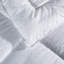 Wayfair Sleep All Season Down Alternative Comforter-1690112317
