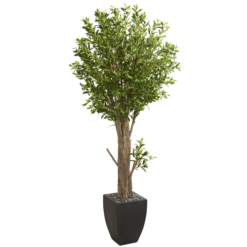 78'' Faux Olive Tree Tree in Ceramic Planter