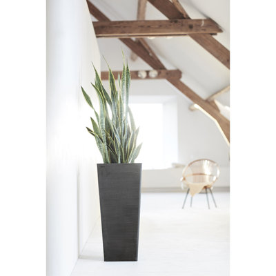Pot Planter