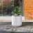 Sykes Pot Planter-142813246