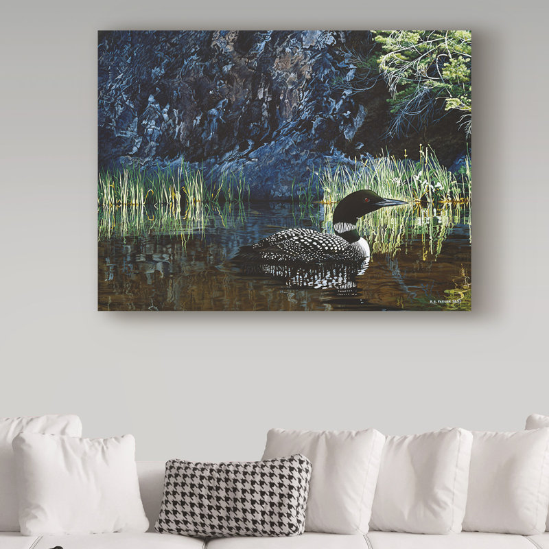 «Summer Loon» par Etelca, impression sur toile tendue, H 14 po x l 19 po x P 2 po