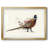 " Pheasant Splash 2 "-1965717838-1965717827