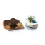 Terrarium en verre fondu avec bois de teck naturel benedicte-998180519