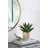 Maughan Ceramic Pot Planter