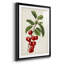 Antique Fruit II, reproduction encadrée de qualité supérieure - prête à être accrochée-781755669-781755672