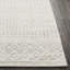 Narine Machine Woven Grey/White Indoor Rug-1546434368