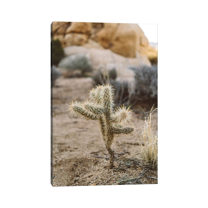 Joshua Tree National Park XVI by Bethany Young - Print on Canvas, Wrapped Canvas, 30.48cm H x 20.32cm W x 1.91cm D